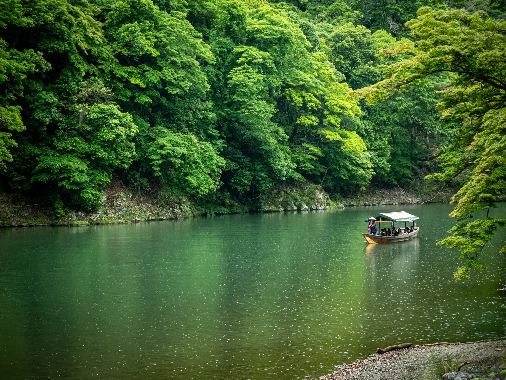 Boat on a green river