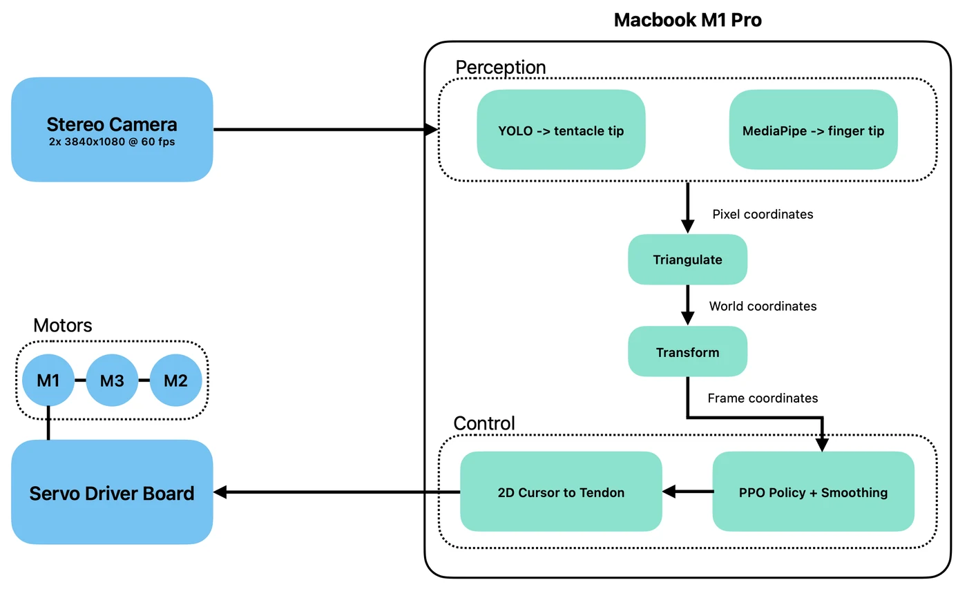 System diagram for the finger tracking path