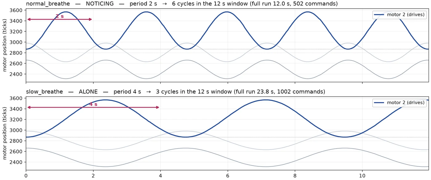 Time vs motor position plot of "normal_breathe" and "slow_breathe"